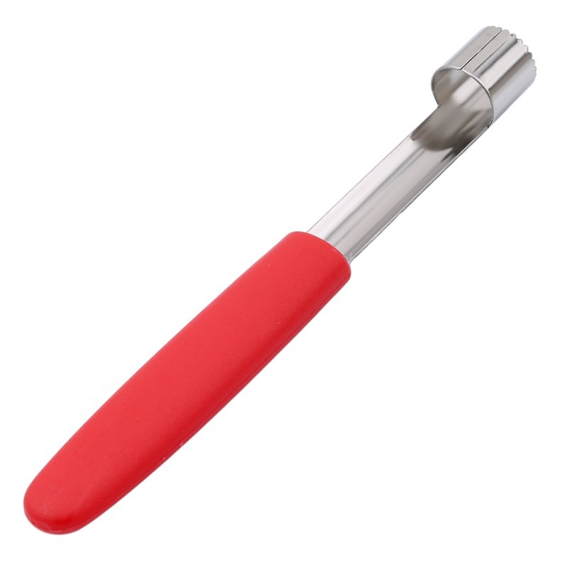 أداة إزالة بذور الفاكهة سهلة ا - مراجعة Kitchen Gadgets And Tools وسعره